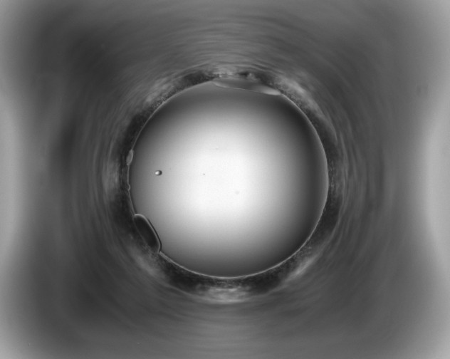 X0000087560213200704271232