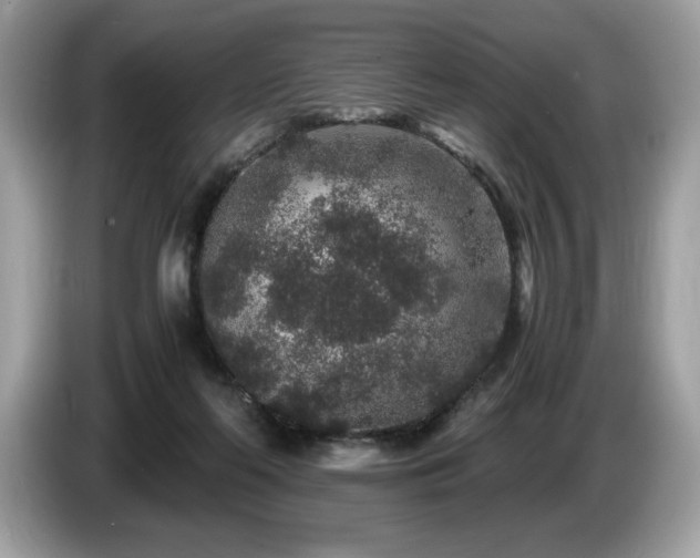 X0000087560214200704271232