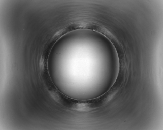 X0000087560216200704271232
