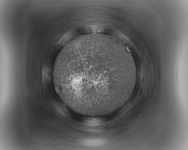 X0000087560218200704271232