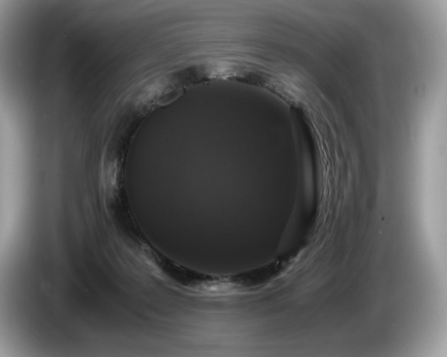 X0000087560219200704271232
