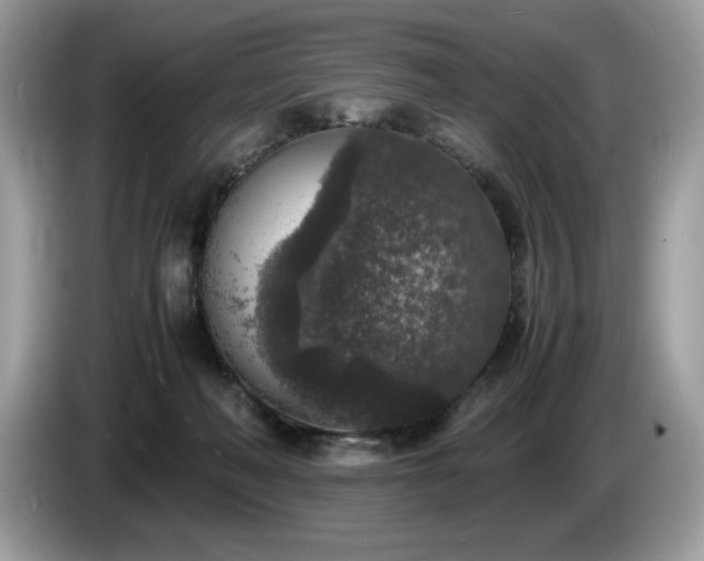 X0000087560222200704271232