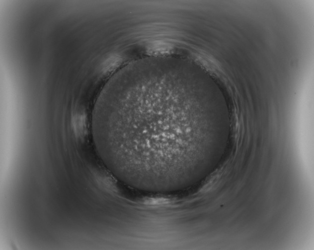 X0000087560224200704271232