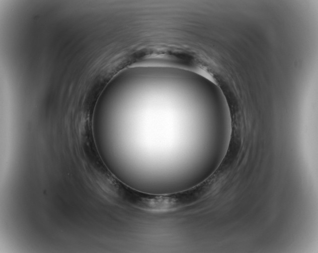 X0000087560225200704271232