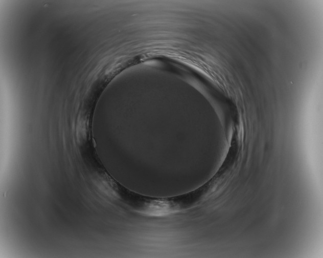 X0000087560227200704271232