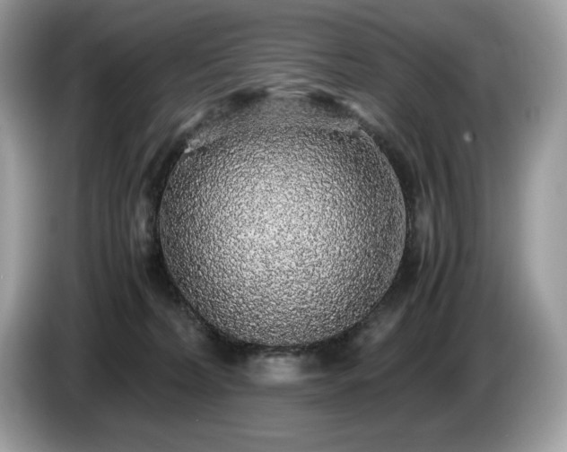 X0000087560228200704271232