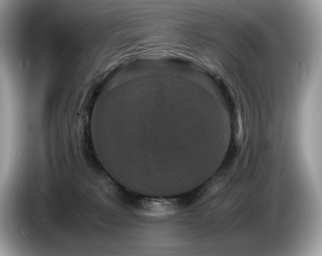 X0000087560229200704271232