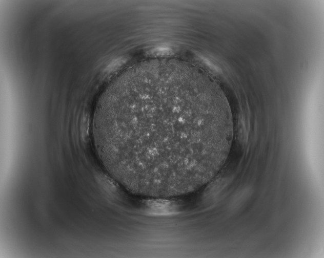 X0000087560230200704271232