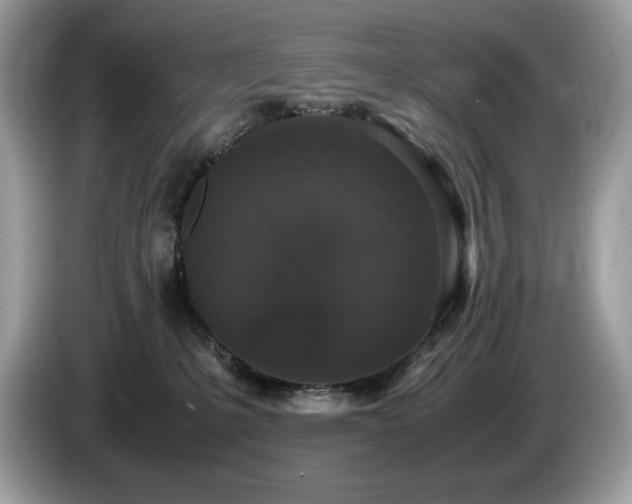 X0000087560231200704271232