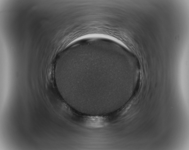 X0000087560233200704271232