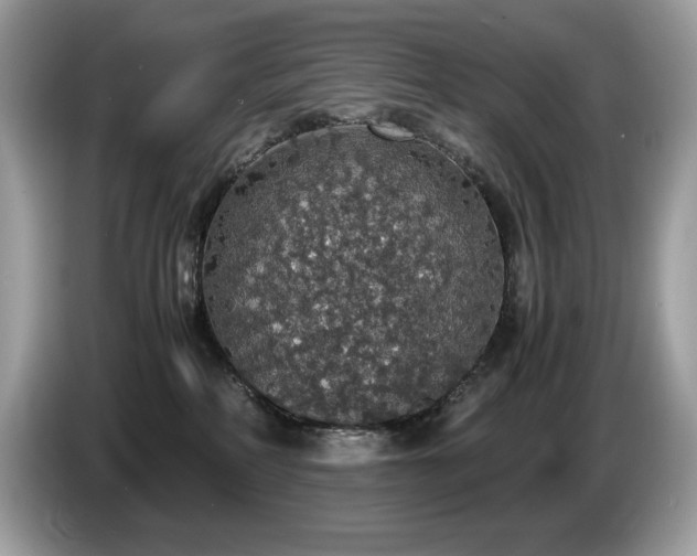 X0000087560234200704271232