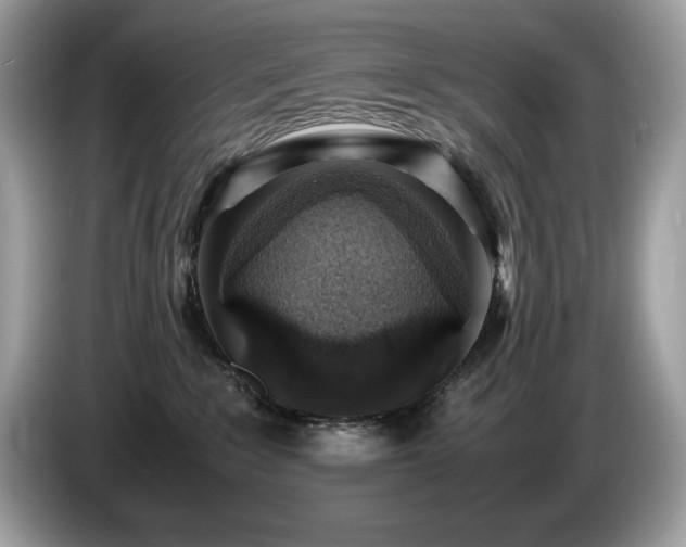 X0000087560235200704271232