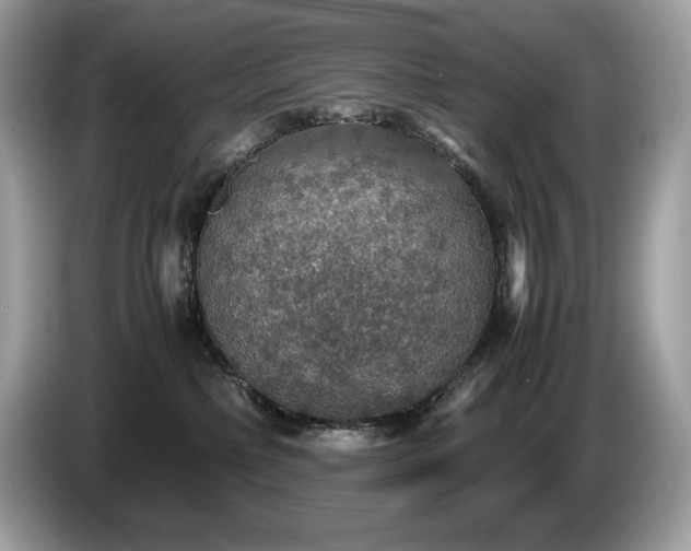 X0000087560236200704271232