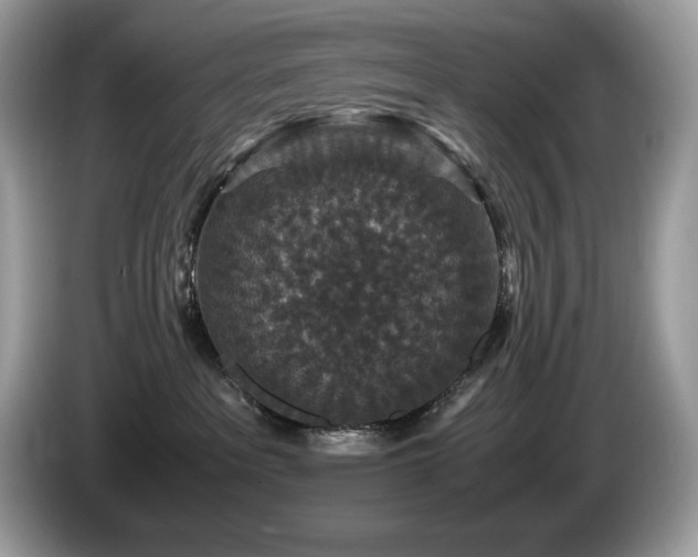 X0000087560237200704271231