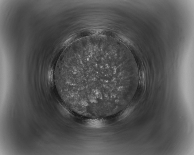 X0000087560238200704271231