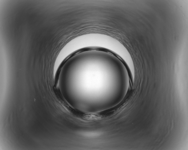 X0000087560239200704271231
