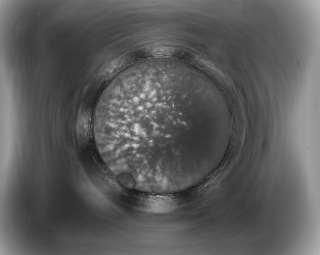 X0000087560240200704271231