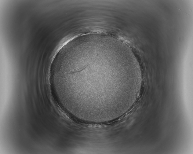 X0000087560242200704271231