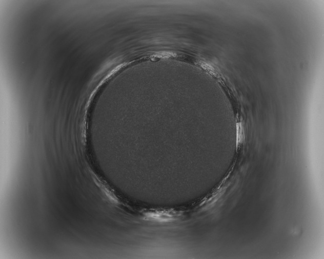 X0000087560243200704271231