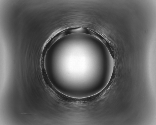 X0000087560244200704271231