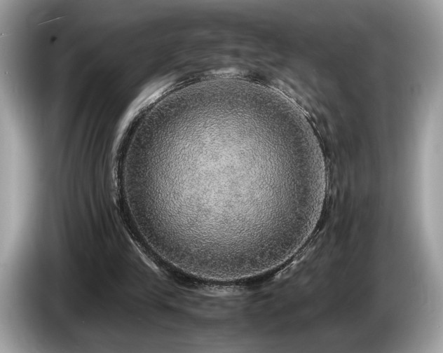 X0000087560245200704271231