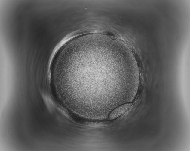 X0000087560246200704271231
