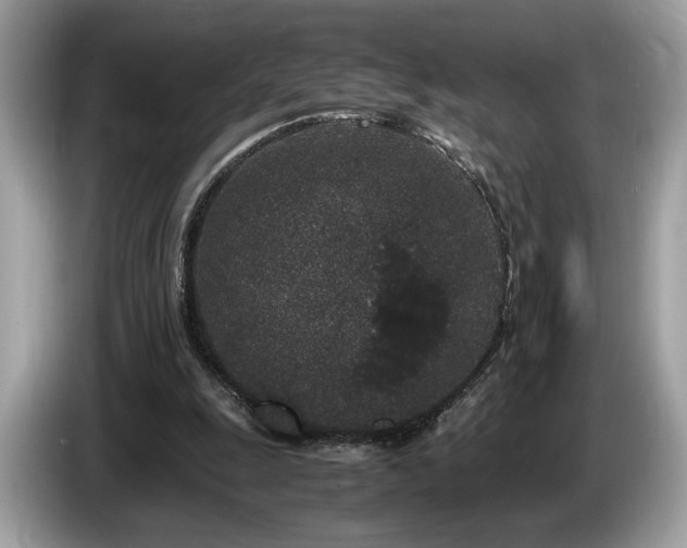 X0000087560247200704271231