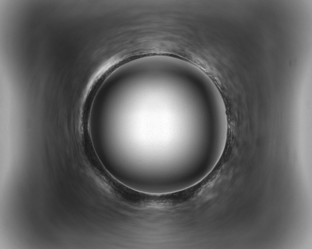X0000087560248200704271231
