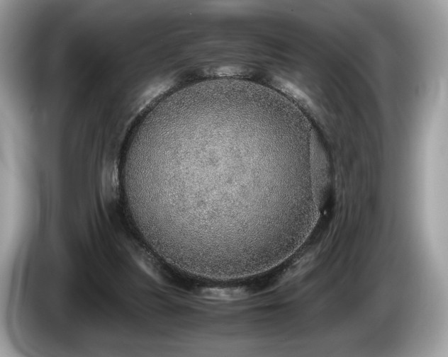 X0000087560251200704271231