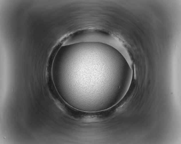 X0000087560252200704271231