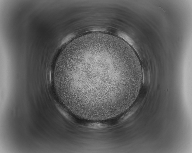 X0000087560253200704271231
