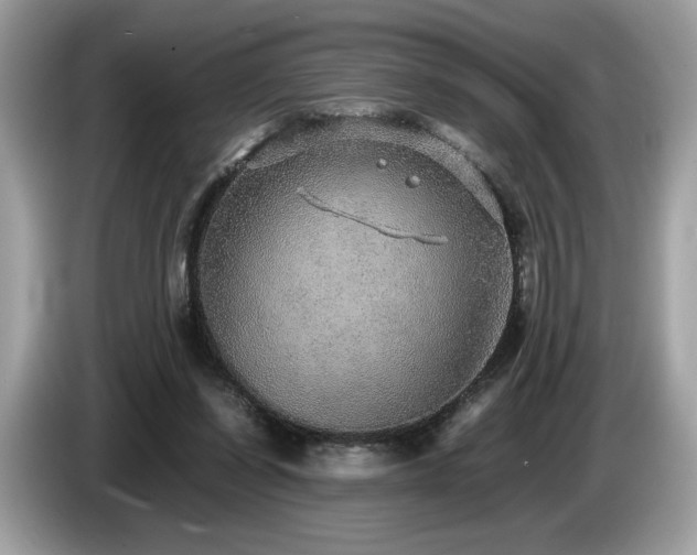X0000087560254200704271231