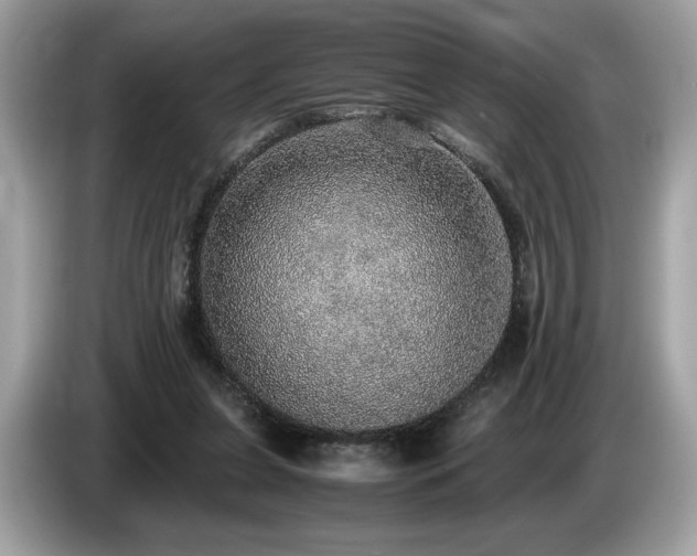 X0000087560255200704271231