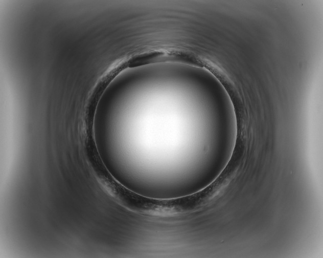 X0000087560256200704271231