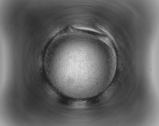 X0000087560257200704271231