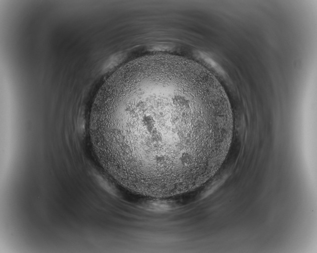 X0000087560261200704271231