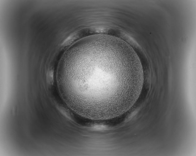 X0000087560262200704271231