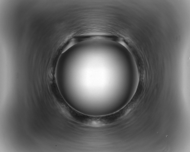 X0000087560264200704271231
