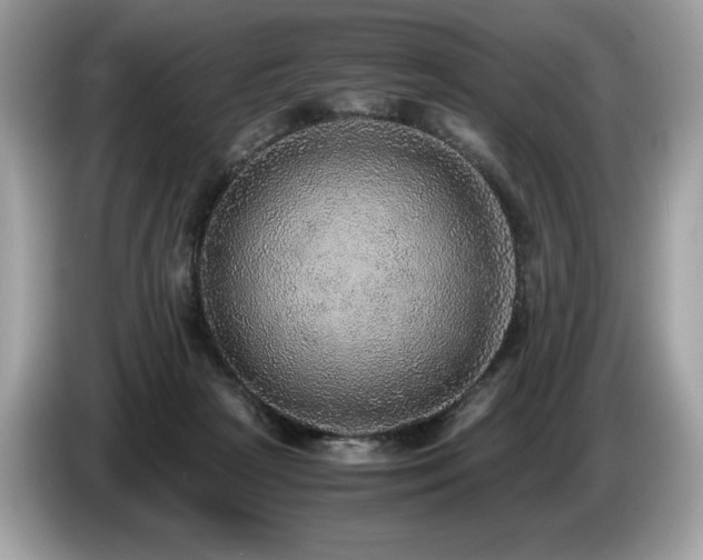 X0000087560265200704271231