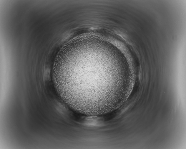 X0000087560269200704271231