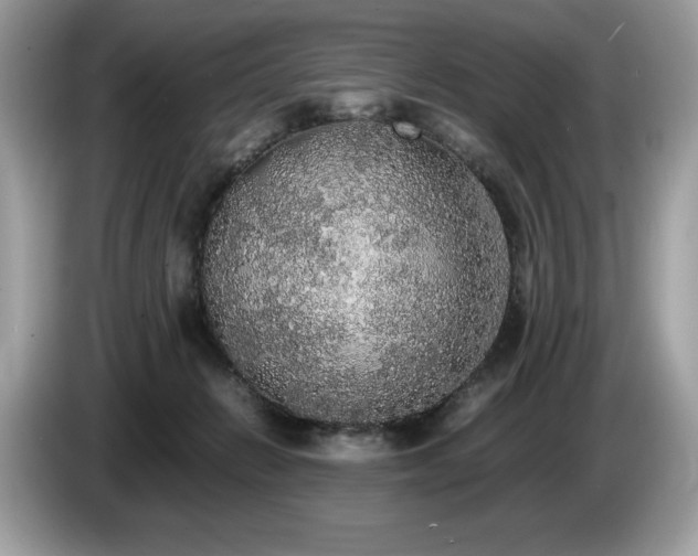 X0000087560270200704271231