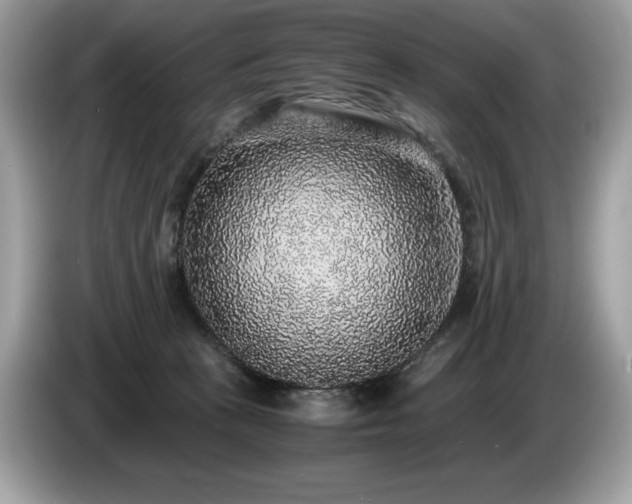 X0000087560273200704271231