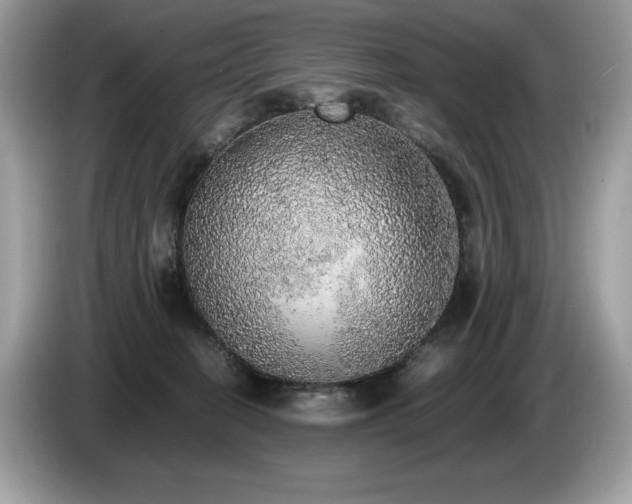X0000087560274200704271231