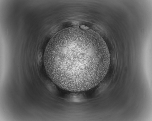 X0000087560275200704271231