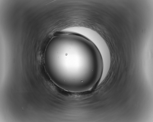 X0000087560276200704271231
