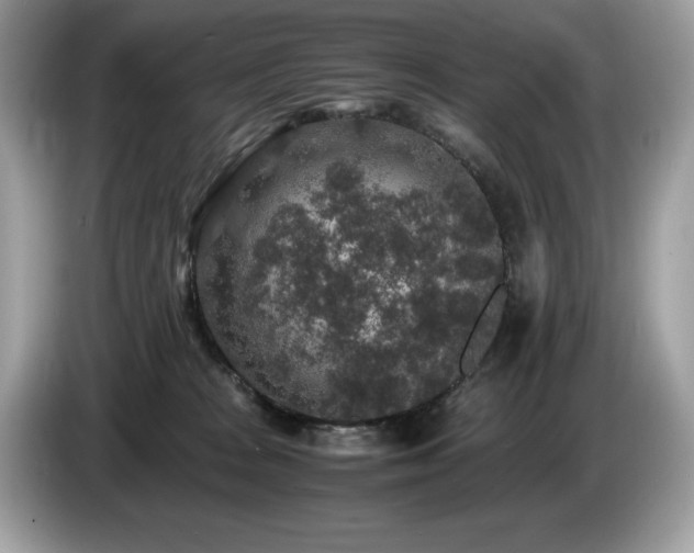 X0000087560277200704271231