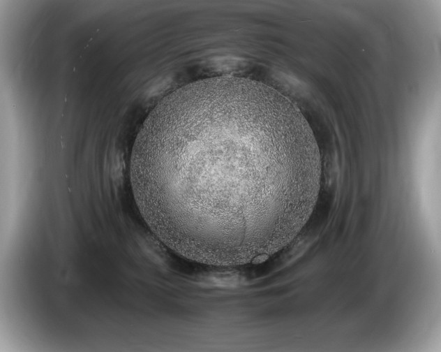 X0000087560279200704271231