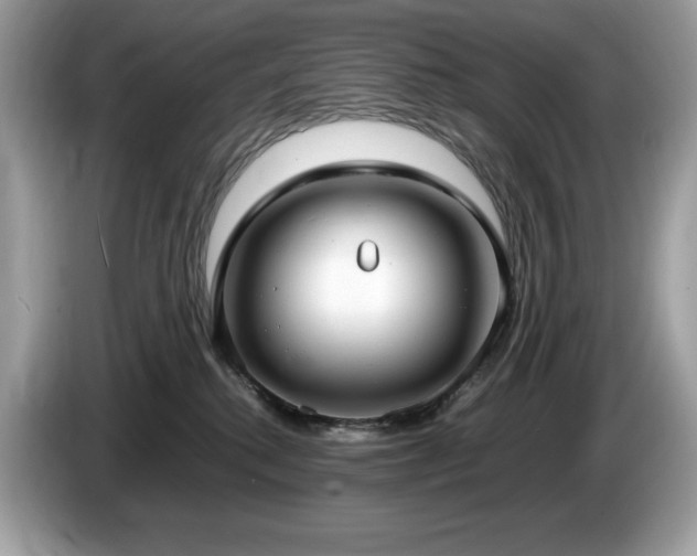 X0000087560280200704271231