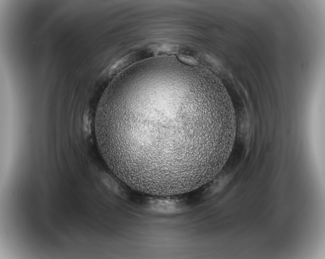 X0000087560282200704271231