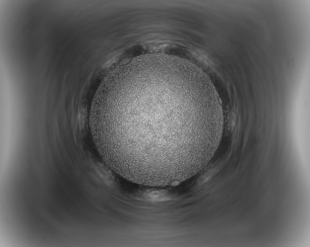 X0000087560283200704271231